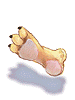 Tiger's Footskin