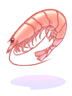 กุ้ง