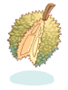 Prickly Fruit