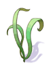 Singing Plant