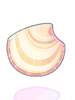 Clam Shell