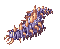 Centipede Larva